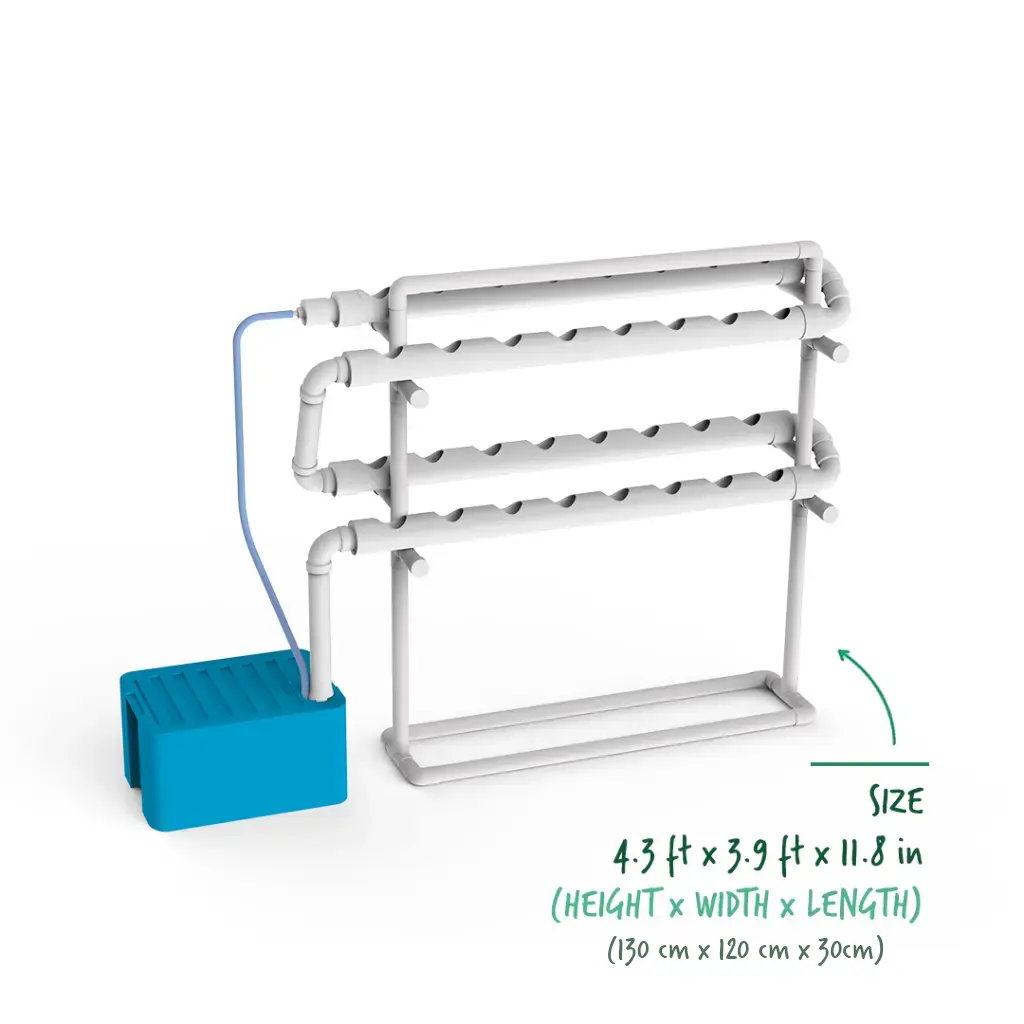 n2-2_en.webp