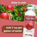 a3.webp