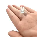 61W4EKJfI5L.webp