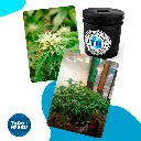 SAMPLE_1.webp
