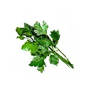 Parsley