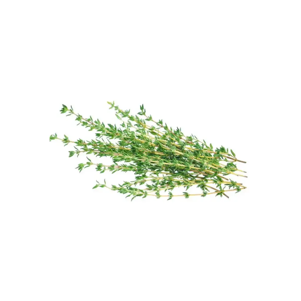 Thyme