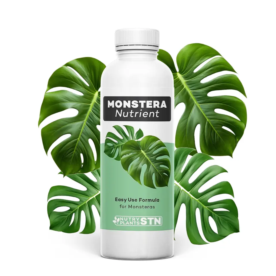 Monstera Plant Food