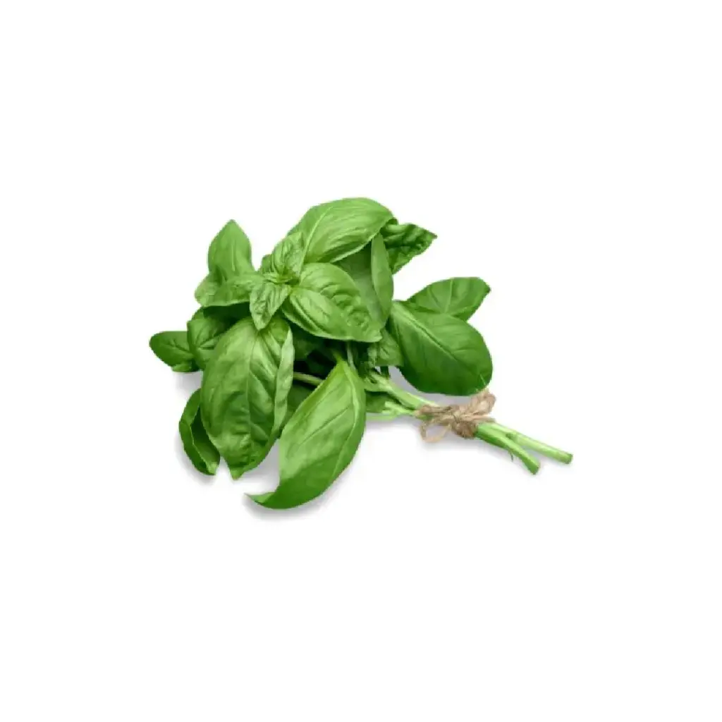 Basil